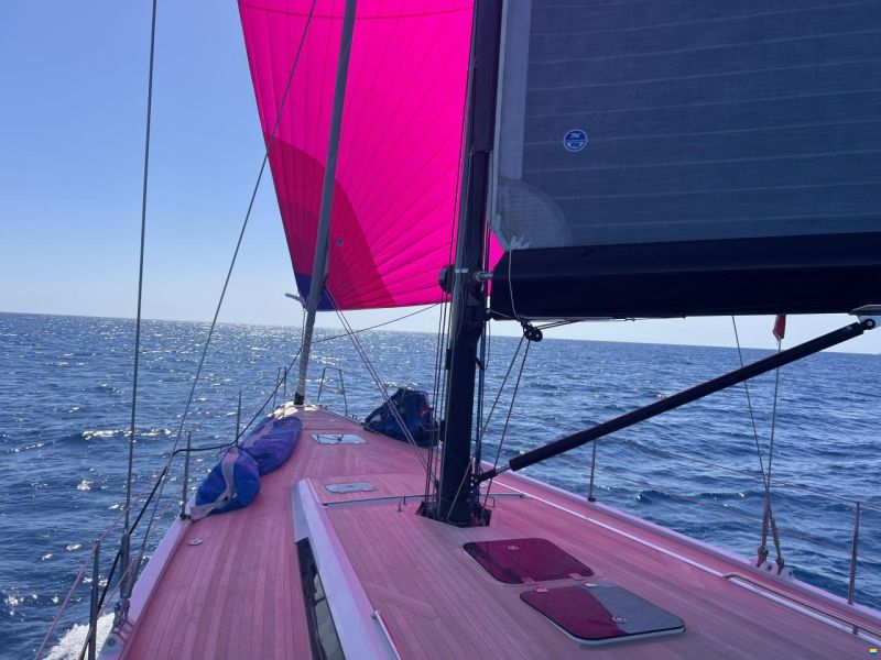 Solaris 50
