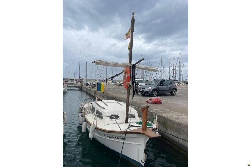 Knort 6m