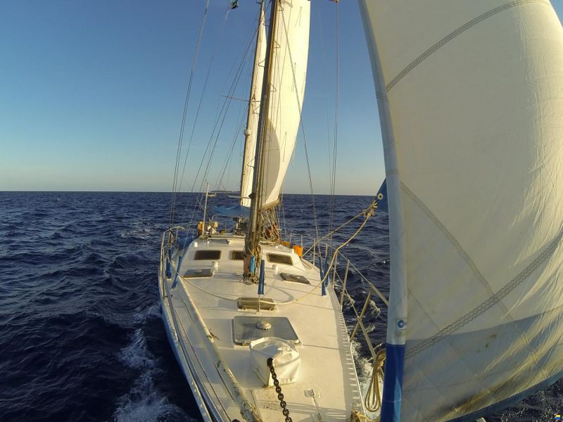50ft Galapagos Blue Water Ketch