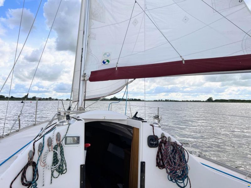 Delphia 28 Sport
