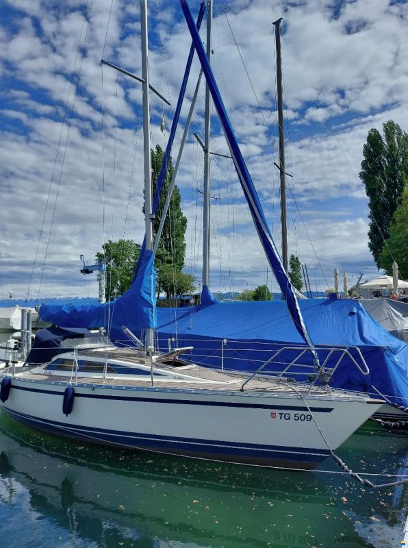 Olsen 31