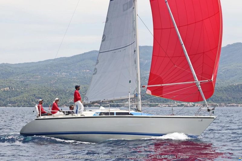 Dehler Optima 101