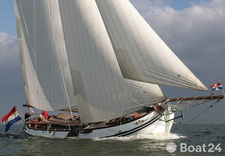 Lemsteraak Roefmodel - IJsvogel 0