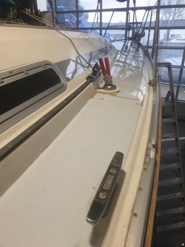 Bavaria Speed 34