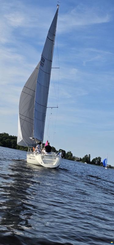 Bavaria Speed 34