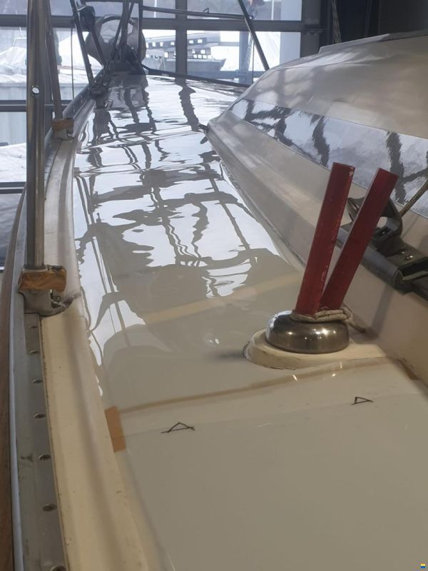 Bavaria Speed 34