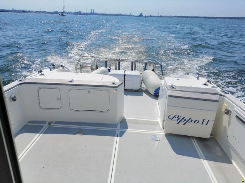 Poly Form Triakis 35