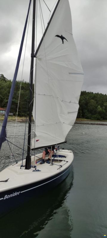 Ottenhome Heeg BV Polyvalk Revolution