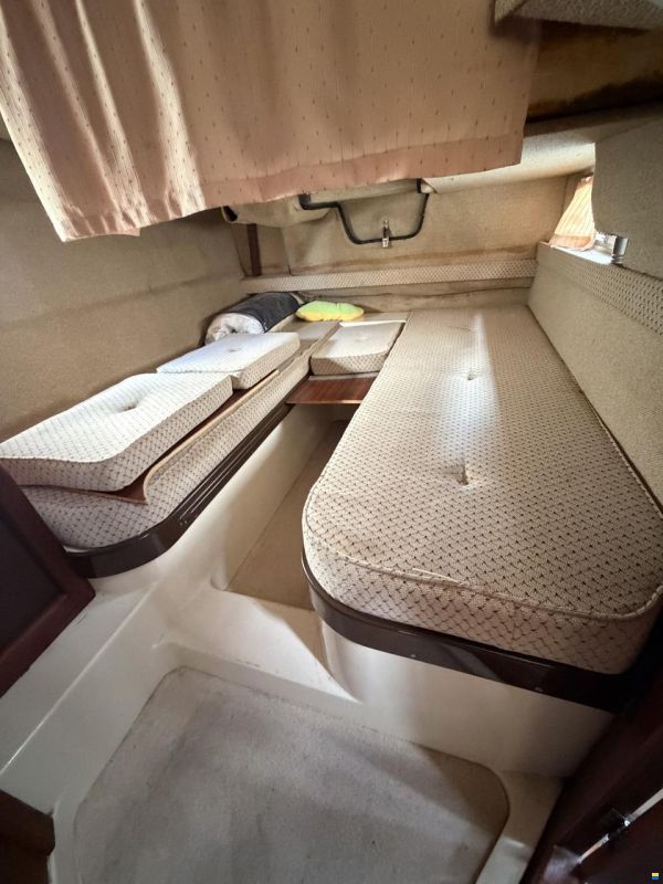 Sealine Confi 28 Family