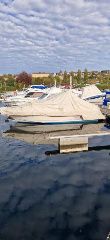 Sealine Confi 28 Family