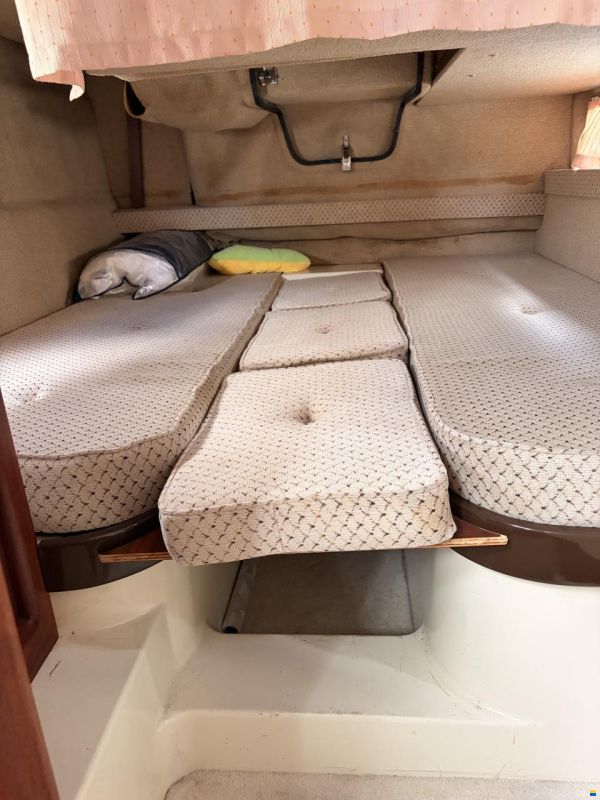 Sealine Confi 28 Family