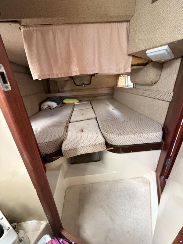 Sealine Confi 28 Family