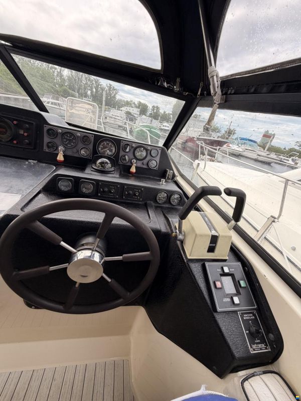 Sealine Confi 28 Family