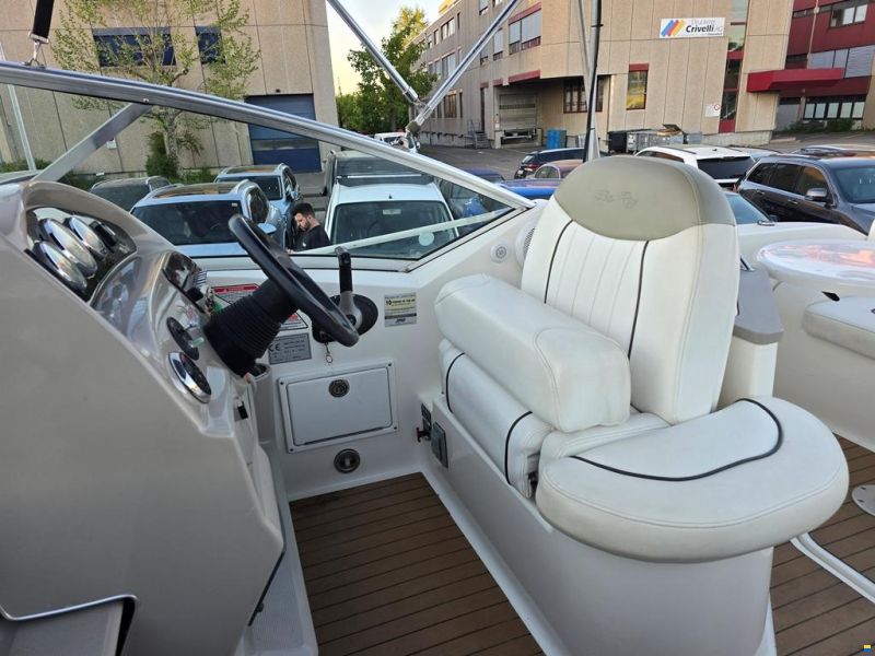 Sea Ray 240 DA Sundancer