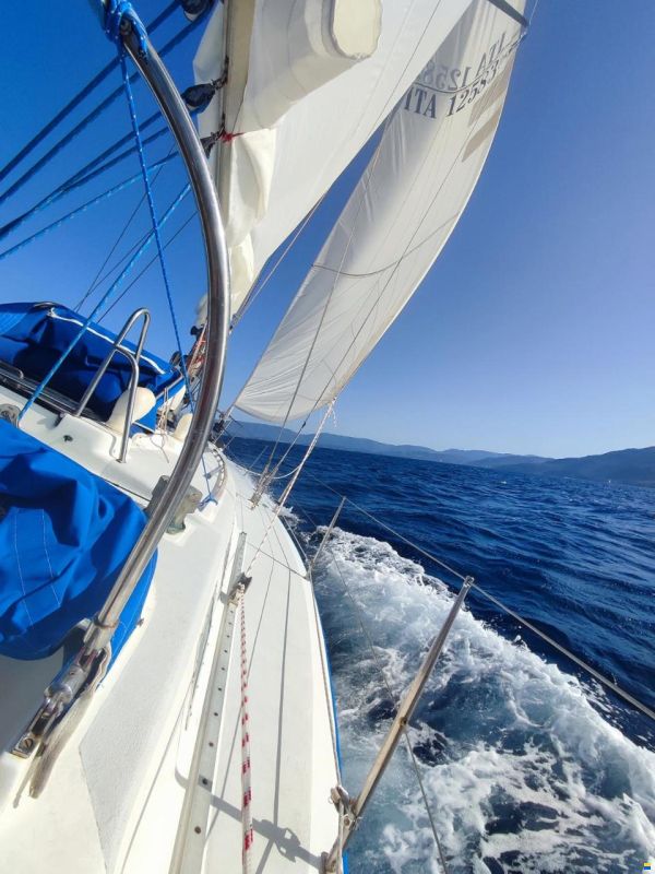 Wauquiez Hood 38