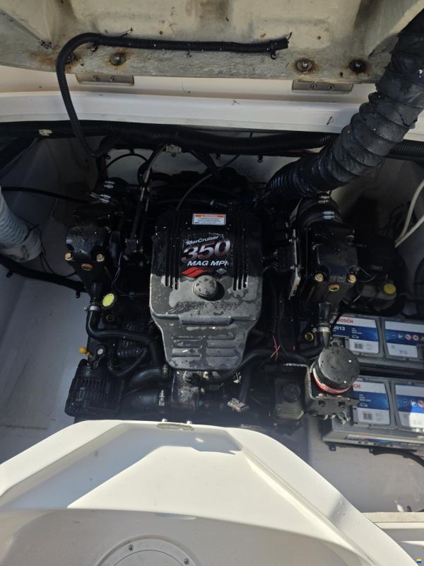 Regal 2450 Cuddy