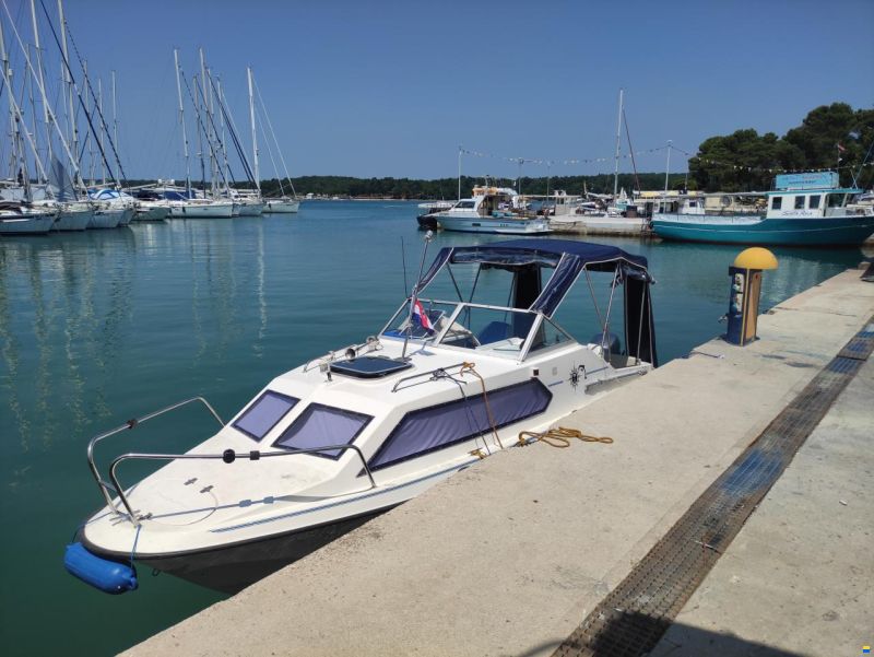 CH Marine Dolphin