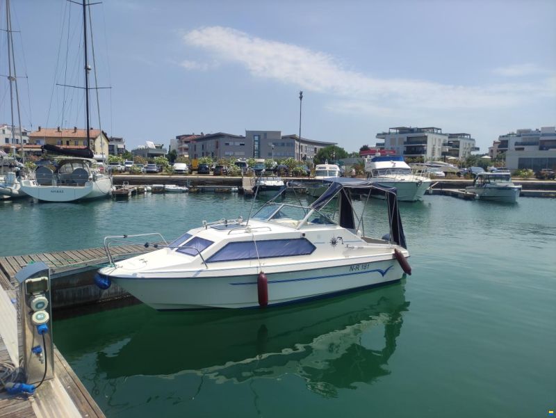 CH Marine Dolphin