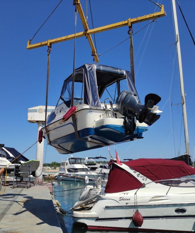 CH Marine Dolphin