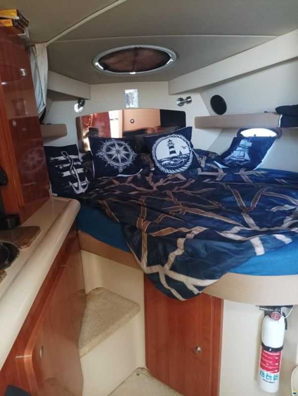 Cruisers 300 CXi