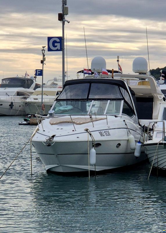 Cruisers 300 CXi