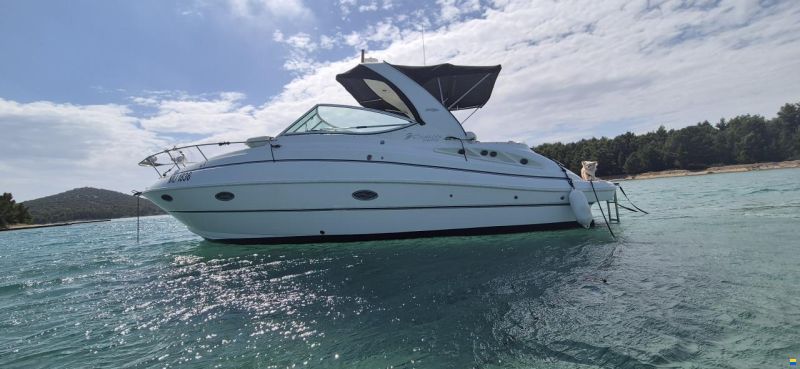 Cruisers 300 CXi