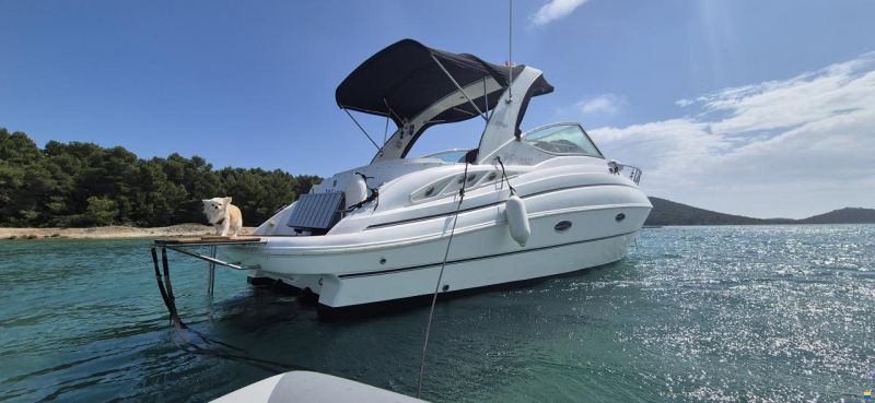 Cruisers 300 CXi