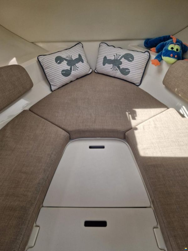 Bayliner VR5 Cuddy