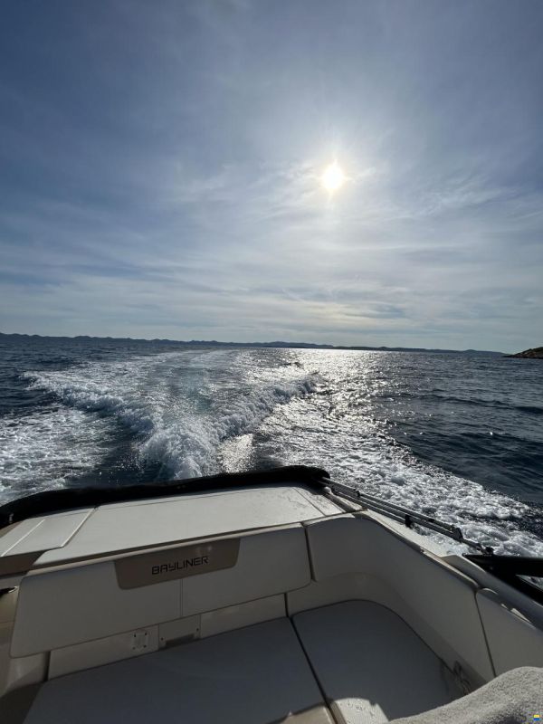 Bayliner VR5 Cuddy