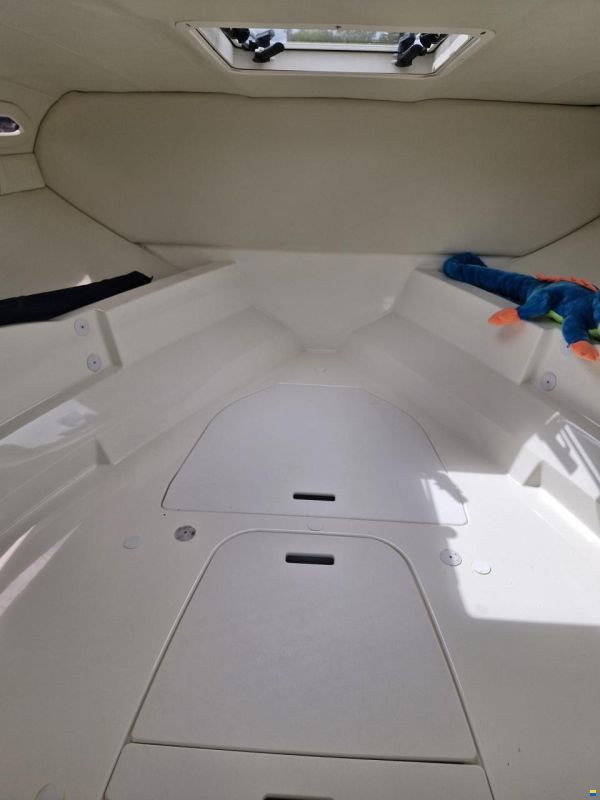 Bayliner VR5 Cuddy