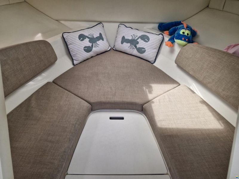 Bayliner VR5 Cuddy