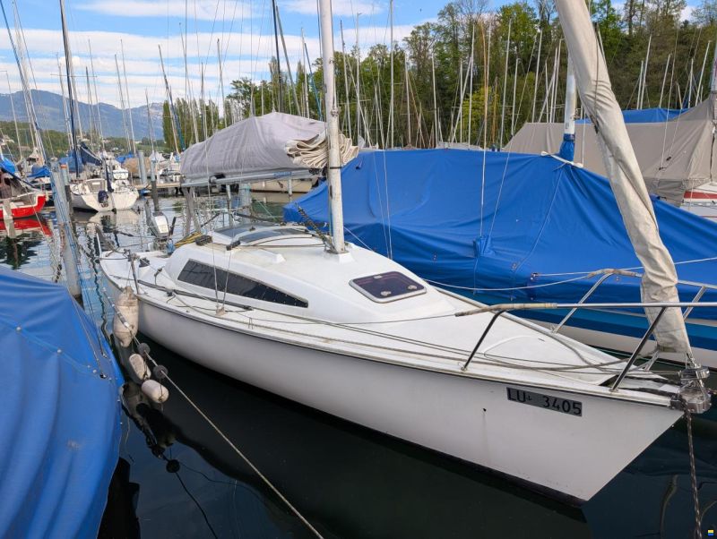 Archambault Surprise