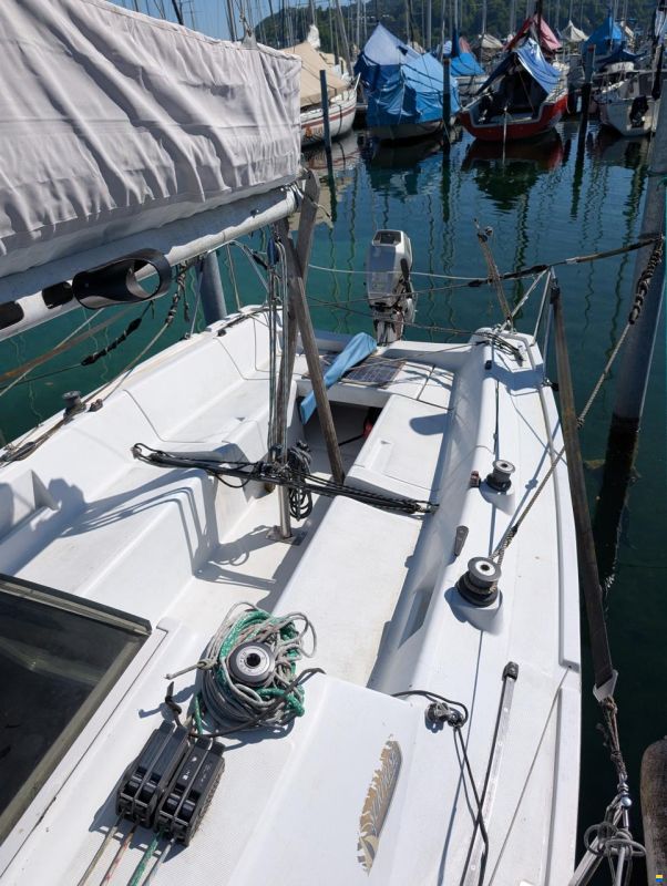 Archambault Surprise