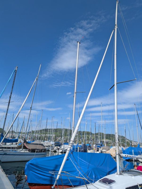 Archambault Surprise