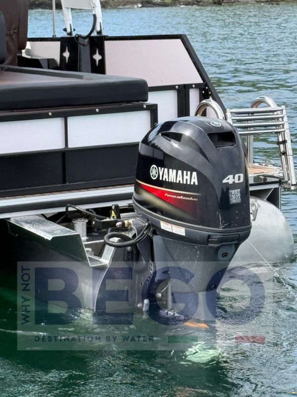 Old Lake Marine PONTOON SENZA PATENTE