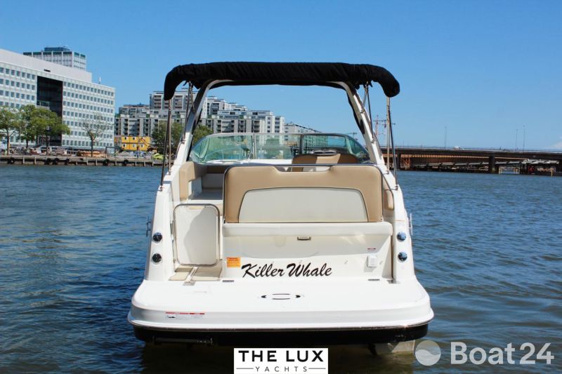 Bayliner Ciera 8