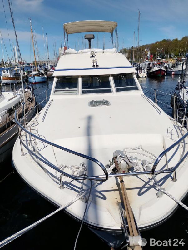 Princess 38 Fly