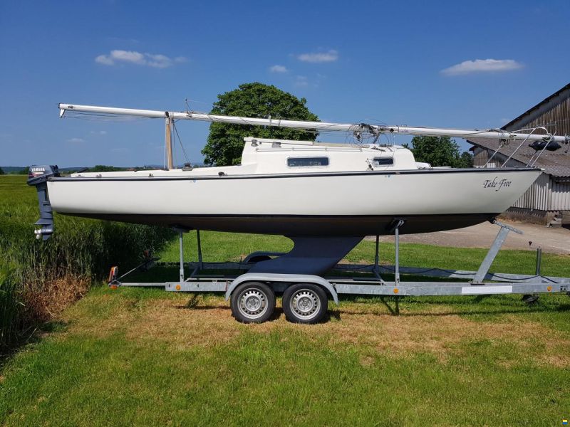 SHARK 24