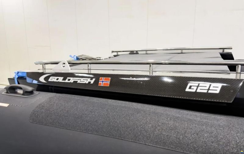 Goldfish 29 Sport
