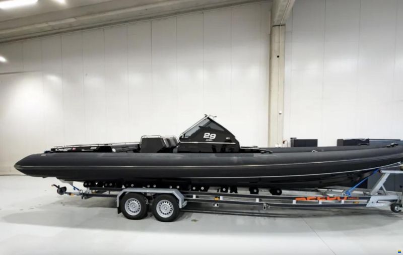Goldfish 29 Sport