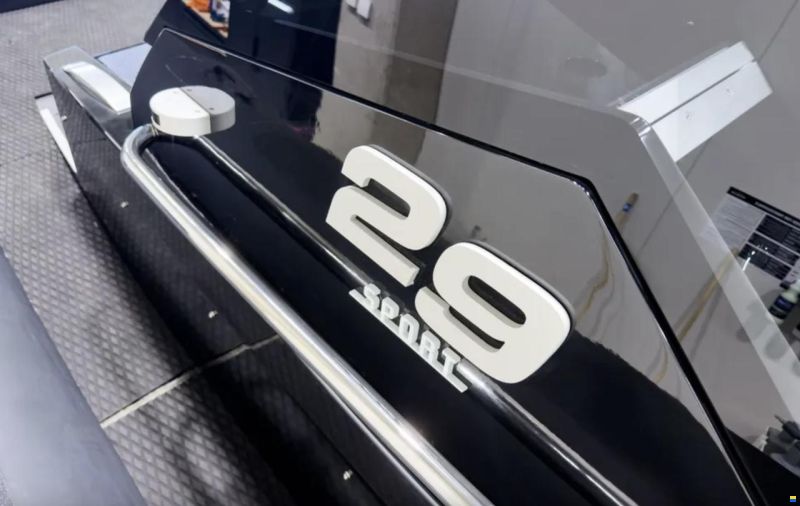 Goldfish 29 Sport