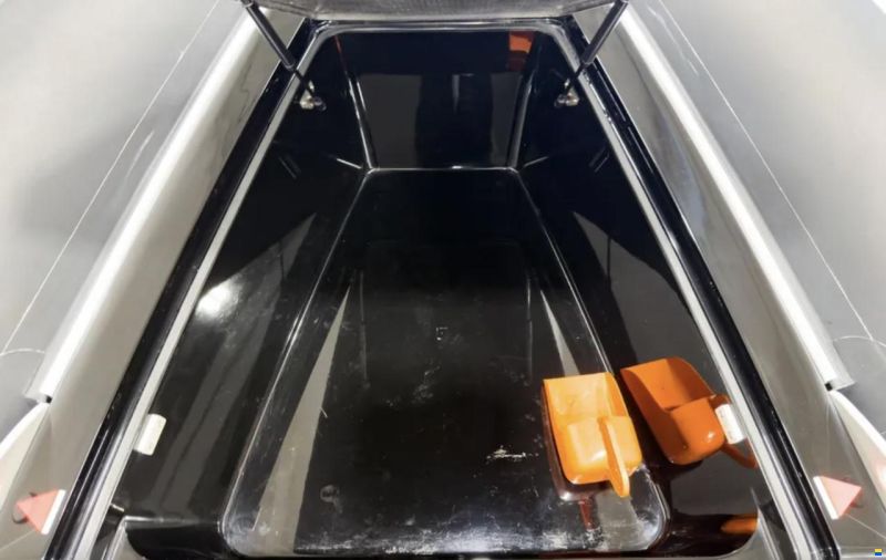Goldfish 29 Sport