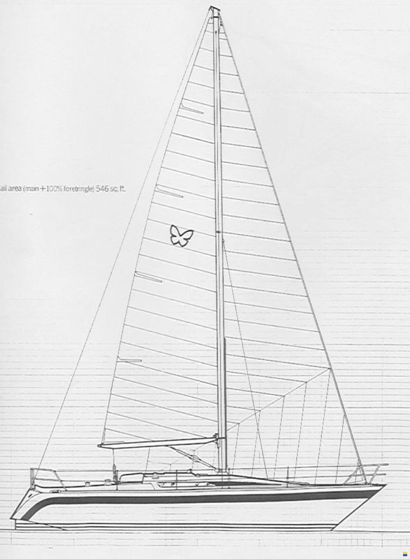 Holman & Pye Red Admiral 36