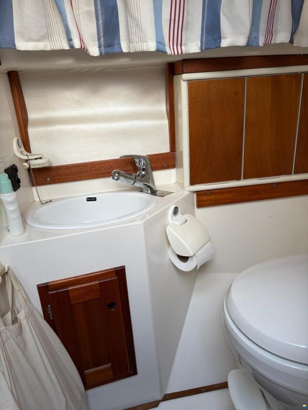 Galeon Nimo 260