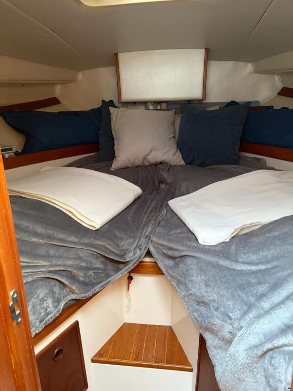 Galeon Nimo 260