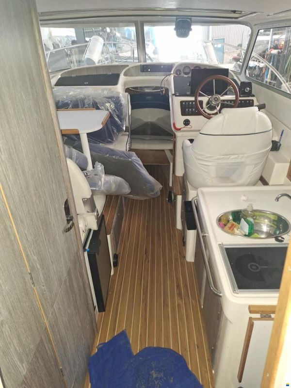 Bella Falcon 26