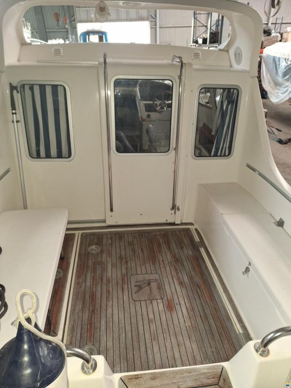 Bella Falcon 26