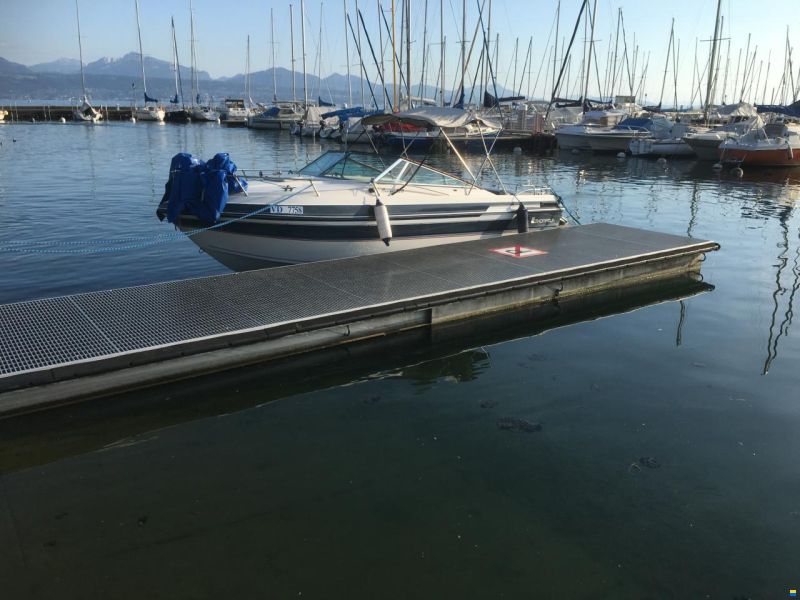 Thompson Carrera 220