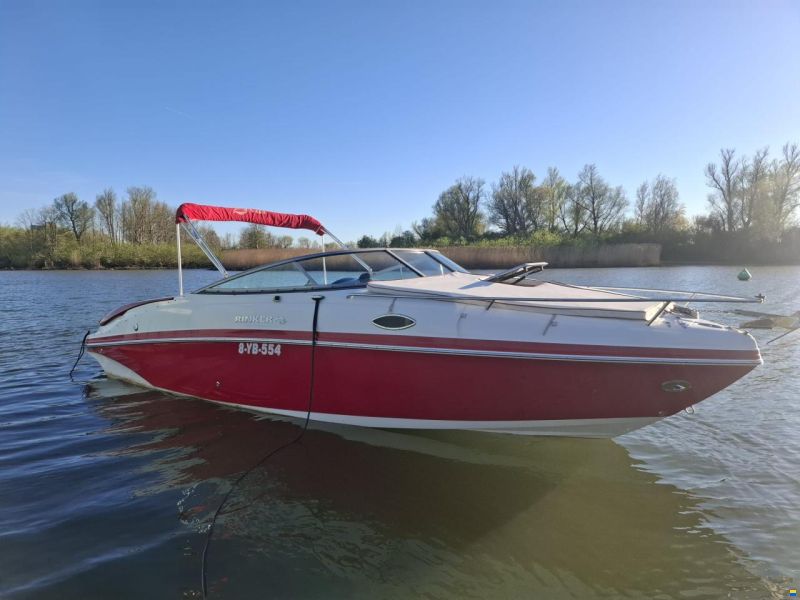 Rinker 246 Captiva Cuddy