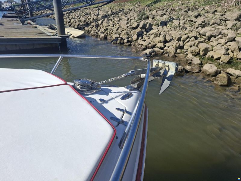 Rinker 246 Captiva Cuddy